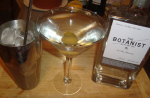 Scortching Dry The Botanist Islay Gin Martini